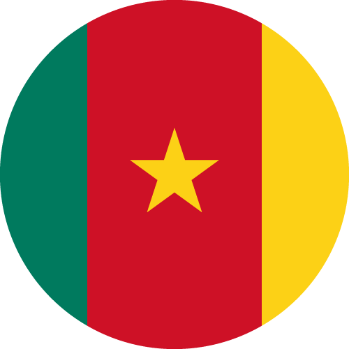 Cameroon flag